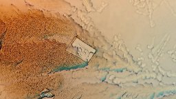 Zero Cola - századás után