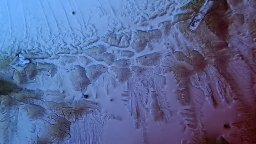 Zero Cola - századás után